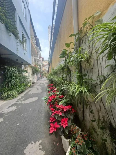 HaNoi Bougainvillea Garden Homestay – Foto’s 6